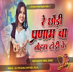 Parnam Ba Tora Dhodi Ke 2025 Dj remix song