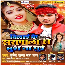 Bilai Ke Sarapala Se Mush Na Mui - Bullet Raja