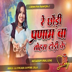Parnam Ba Tora Dhodi Ke  2025 dj remix 