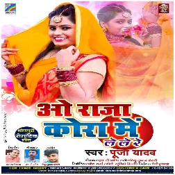 Wo Raja Kora Me Le Le Re - Pooja Yadav