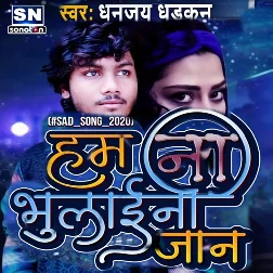 Ham Na Bhulilee Jaan - Dhanjay Dhadkan