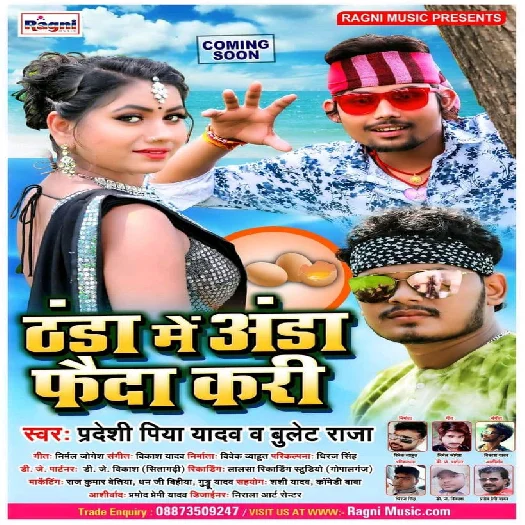 Thanda Me Anda Faida Kari - Bullet Raja