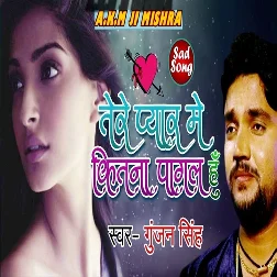 Tere Pyar Me Kitna Pagal Hu (2018) Gunjan Singh