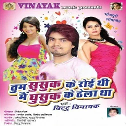 Tum Susuk Ke Roi Thi Mai Ghusuk Ke Thela Tha (Bittu Vinayak)