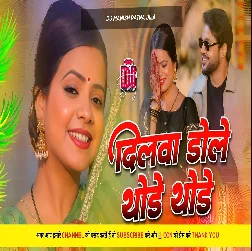 dilwa dole thode thode 2025 Bhojpuri dj remix