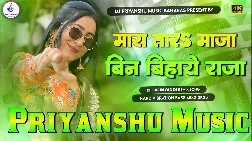 Mara Tara Maja Bin Biyahe  Bhojpuri Dj Remix Gaana  S