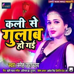 Kali Se Gulab Ho Gayi (2019) Sneh Upadhya