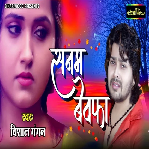 Sanam Bewafa (2019) Vishal Gagan