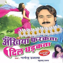 Dil Chir Char Ke Chal Gailu - Sad Song