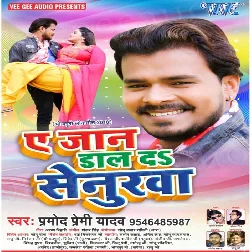 Dil Kare Dhak Dhak Song