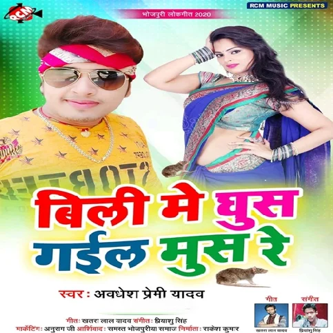 Billi Me Ghus Gail Mush Re Songs