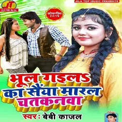 Bhul Gaila Ka Saiya Maral Chatakanava Song
