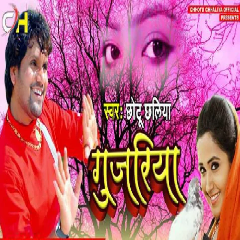 Tora Aage Nik Kehu Lage Na Gujariya