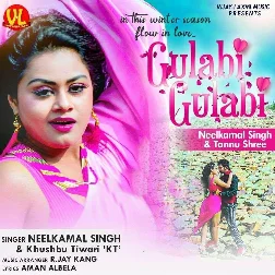 Gulabi Gulabi Song