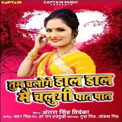 Tum Chaloge Dal Dal Mai Chalungi Pat Pat Song