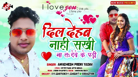 Dil Dehab Nahi Sakhi Song