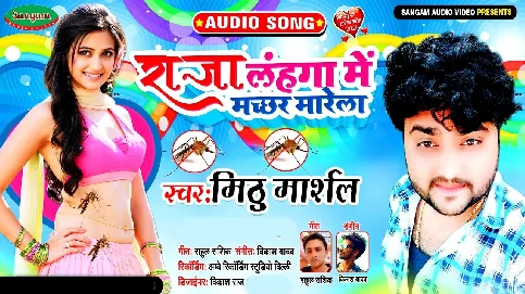 Raja Lahunga Me Machhar Marele Song
